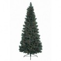 Weihnachtsbaum Slim Norwich Pine 180 cm