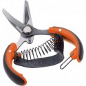 Citrus shears with strap Stocker 10 cm