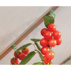 Canopia - Palram I Plant Hooks for Greenhouses
