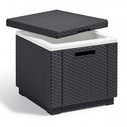 Keter Eiswürfelform ICE CUBE Graphit