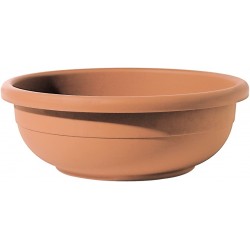 Tonda Pflanzschale