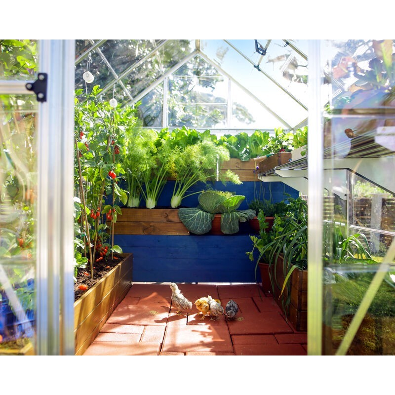 Canopia Harmony Transparentes Gartengewächshaus aus Polycarbonat, 247 x 185 x 208 cm, silberfarben