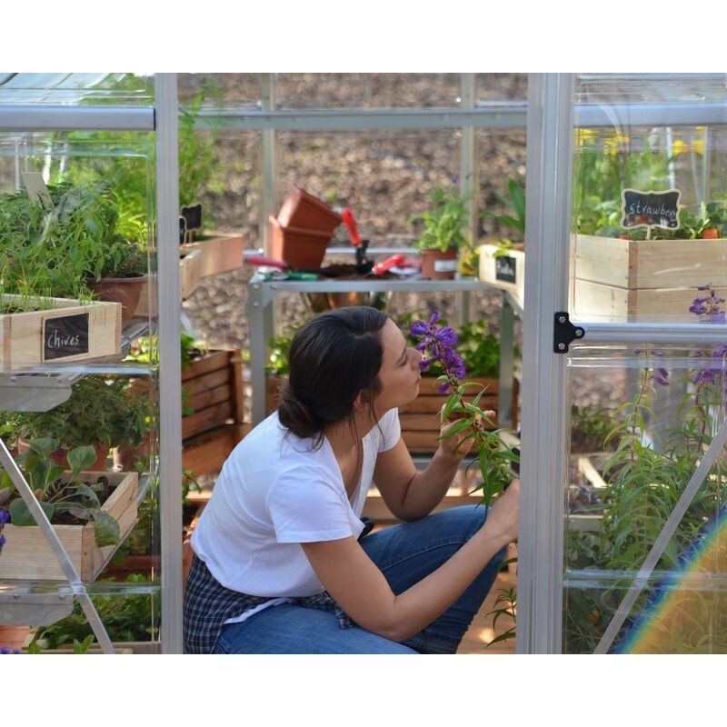 Canopia Hybrid Polycarbonate Garden Greenhouse 247x185x208 cm Silver Canopia Hybrid Polycarbonate Garden Greenhouse 247x185x208 cm Silver