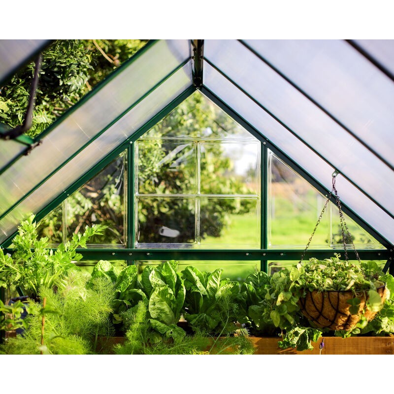 Canopia Hybrid-Gartengewächshaus aus Polycarbonat, 126 x 185 x 208 cm, grün