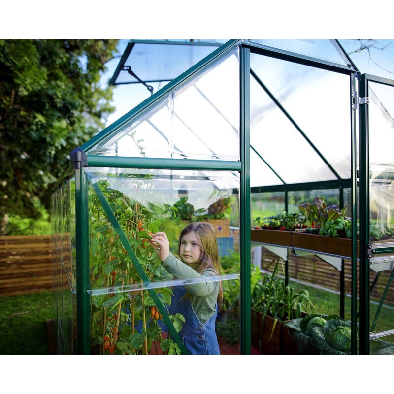 Canopia Hybrid-Gartengewächshaus aus Polycarbonat, 186 x 185 x 208 cm, grün