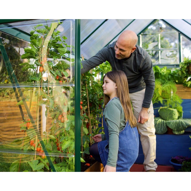 Canopia Hybrid-Gartengewächshaus aus Polycarbonat, 306 x 185 x 208 cm, grün