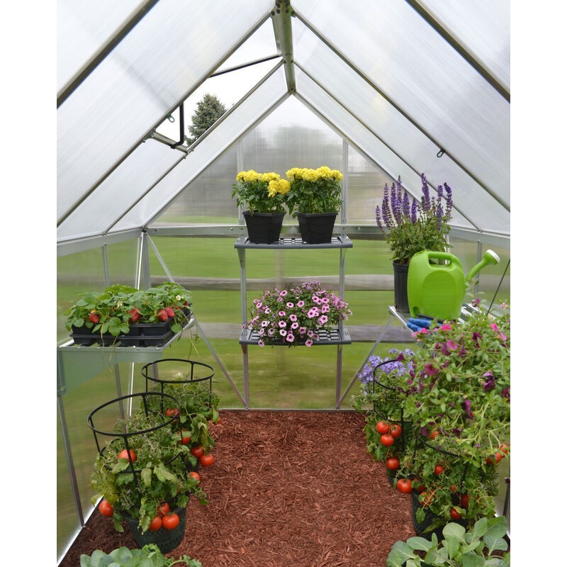 Canopia Mythos Twin-Wall Polycarbonate Garden Greenhouse 247x185x208 cm Silver Canopia Mythos Twin-Wall Polycarbonate Garden Greenhouse 247x185x208 cm Silver