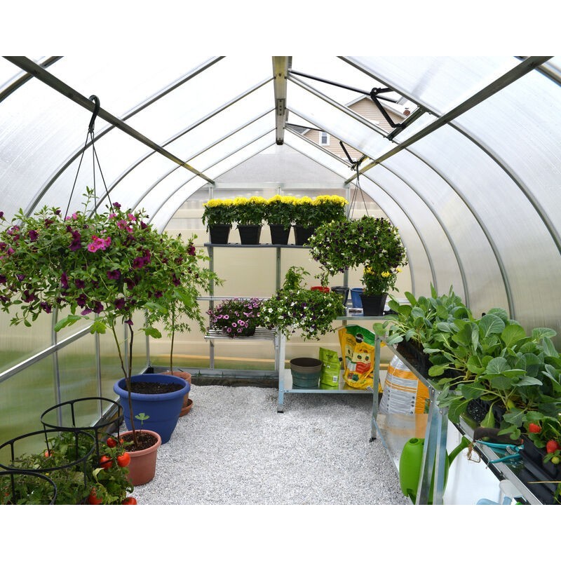 Canopia Bella Doppelsteg-Gartengewächshaus aus Polycarbonat 367x244x219 cm Silber Canopia Bella Doppelsteg-Gartengewächshaus aus Polycarbonat 367x244x219 cm Silber