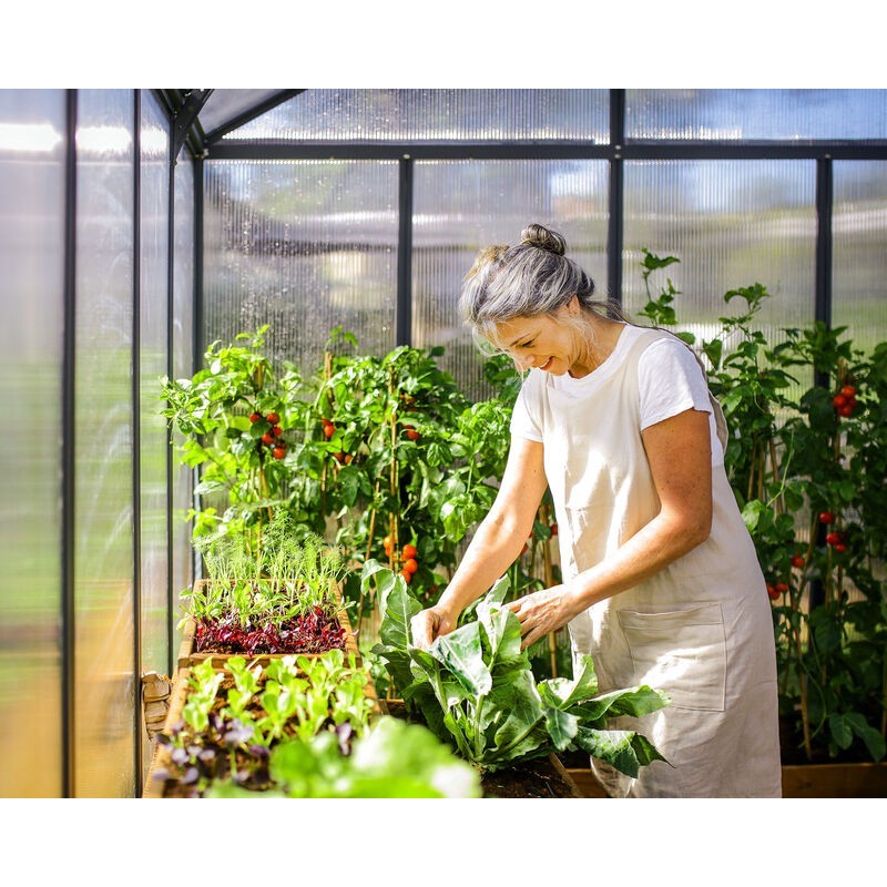 Canopia Glory Polycarbonate Garden Greenhouse 604x253x268 cm Canopia Glory Polycarbonate Garden Greenhouse 604x253x268 cm