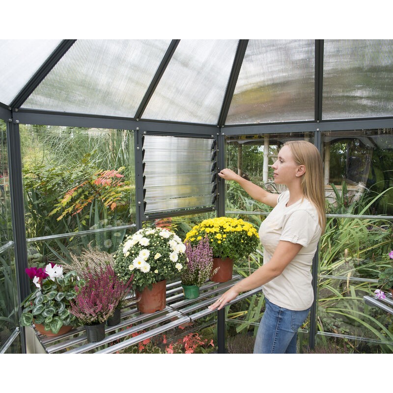 Canopia Oasis Sechseckiges Gartengewächshaus aus Polycarbonat 247x213x267 cm Grau