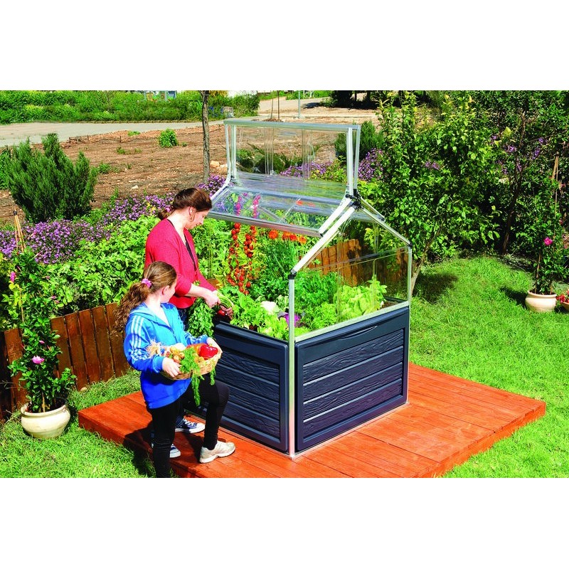 Canopia Plant-Inn Mini Polycarbonate Garden Greenhouse 118x118x148 cm Canopia Plant-Inn Mini Polycarbonate Garden Greenhouse 118x118x148 cm