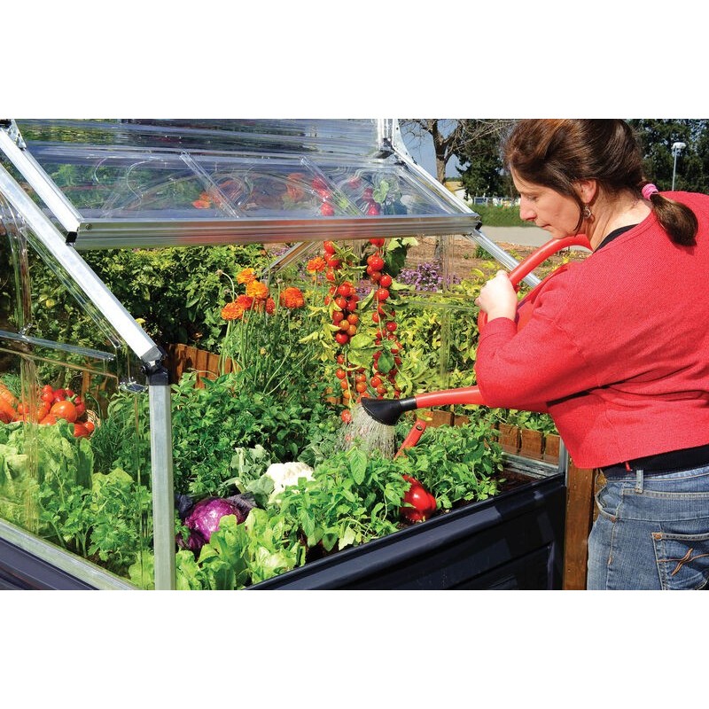 Canopia Plant-Inn Mini-Gartengewächshaus aus Polycarbonat 118x118x148 cm Canopia Plant-Inn Mini-Gartengewächshaus aus Polycarbonat 118x118x148 cm