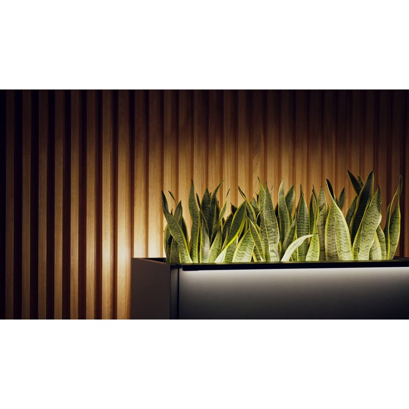 Hoher Herstera Pflanzkübel PLANTER DIVIDER 40 aus Metall Anthrazit 100x40x115 cm
