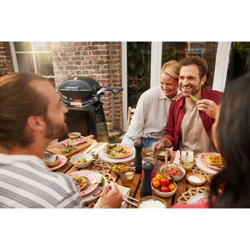 Weber Gasgrill Q 2800N+ mit Premium Trolley, schwarz, Art.-Nr 1501123