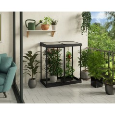 Canopia Ivy Mini-Gartengewächshaus aus Polycarbonat 124x64x150 cm