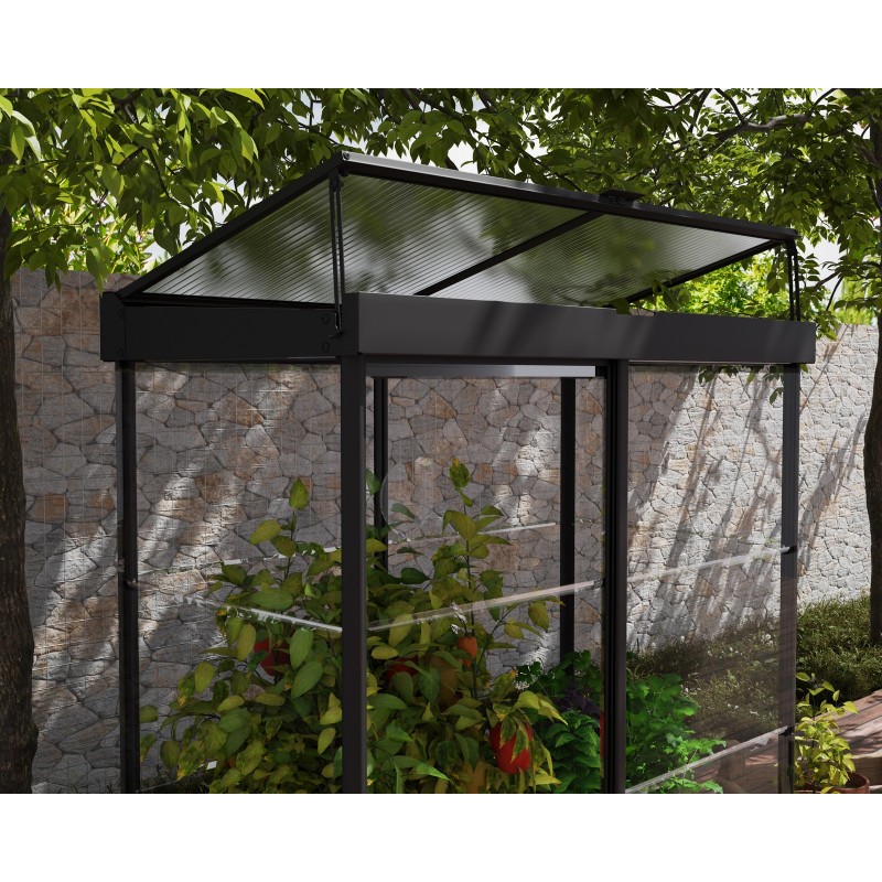 Canopia Ivy Mini Polycarbonate Garden Greenhouse 124x64x150 cm Canopia Ivy Mini Polycarbonate Garden Greenhouse 124x64x150 cm