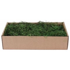 Green Spanish Moss 500 gr