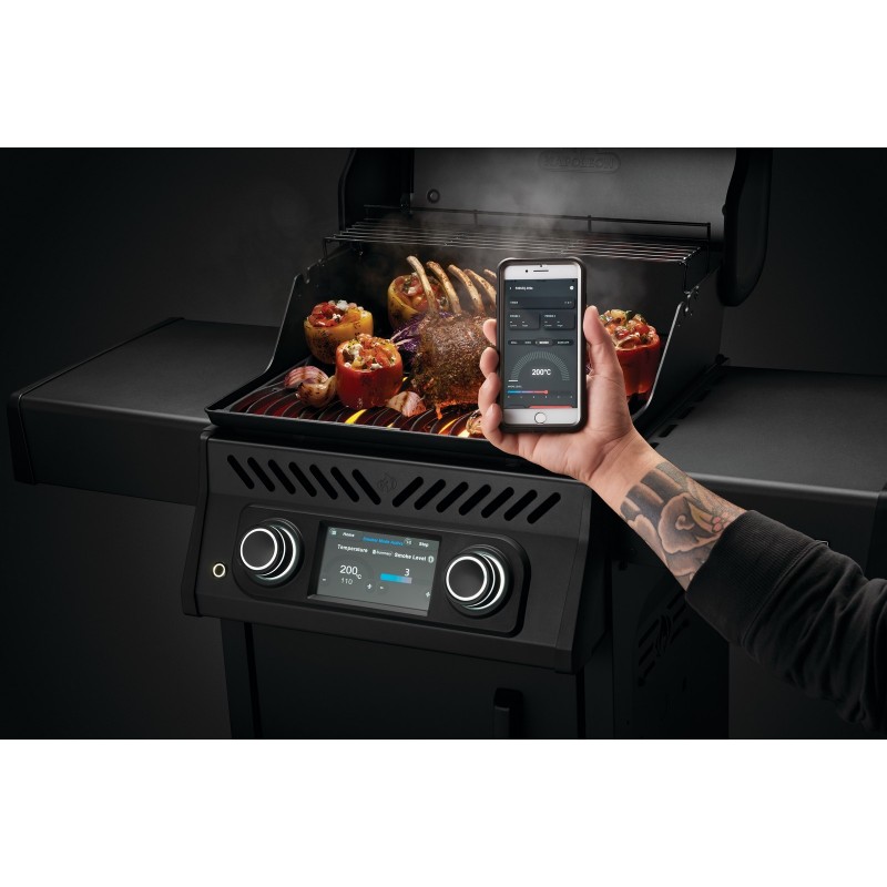 Napoleon Electric Barbecue ROGUE EQ cod. REQ365MK