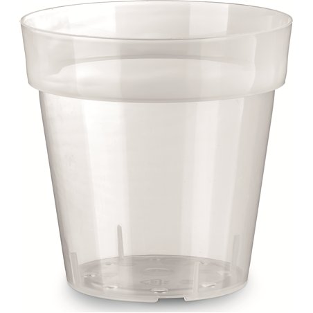 Vaso Iris Trasparente