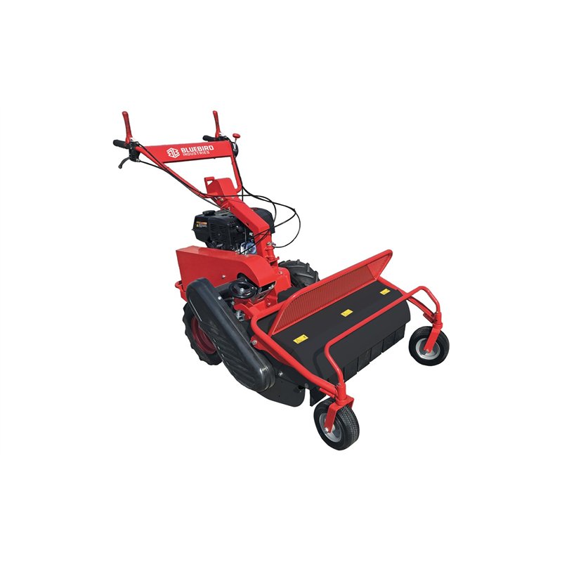 Petrol flail mower Blue Bird FM 750 cutting width 75 cm Petrol flail mower Blue Bird FM 750 cutting width 75 cm