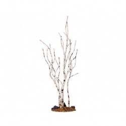 Birch Tree Medium Art.-Nr. 34967
