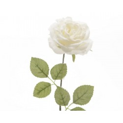 Stem Rose Dim. 11x11x45 cm