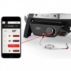 Weber Elektrogrill Pulse 1000 Schwarz Art. 81010053