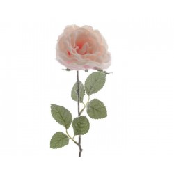 Rosa rosa de un solo tallo con nieve