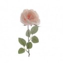 Rosa rosa de un solo tallo con nieve