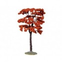 Yellowwood Tree, Large Cod. 44794
