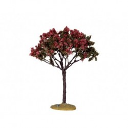 Linden Tree, Medium Cod. 44797