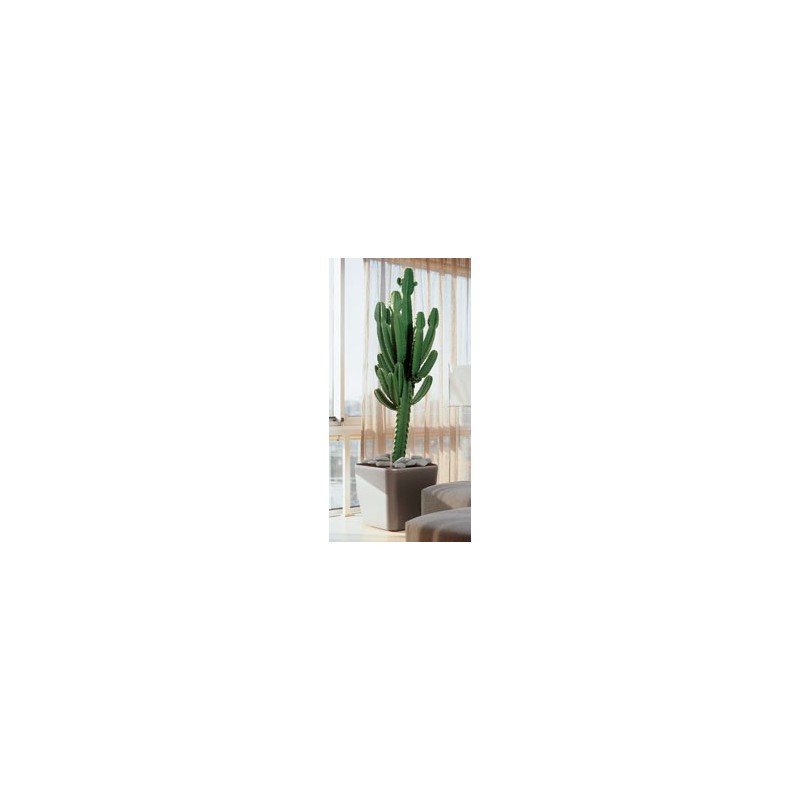 Premium Square Vase 50 Lechuza Complete Set