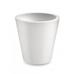 Florero Cosmos Redondo