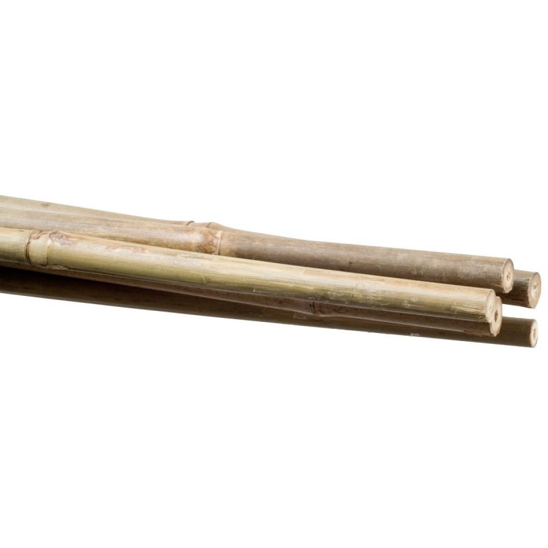 Stocker Macetero de bambú 6 8 mm 60 cm
