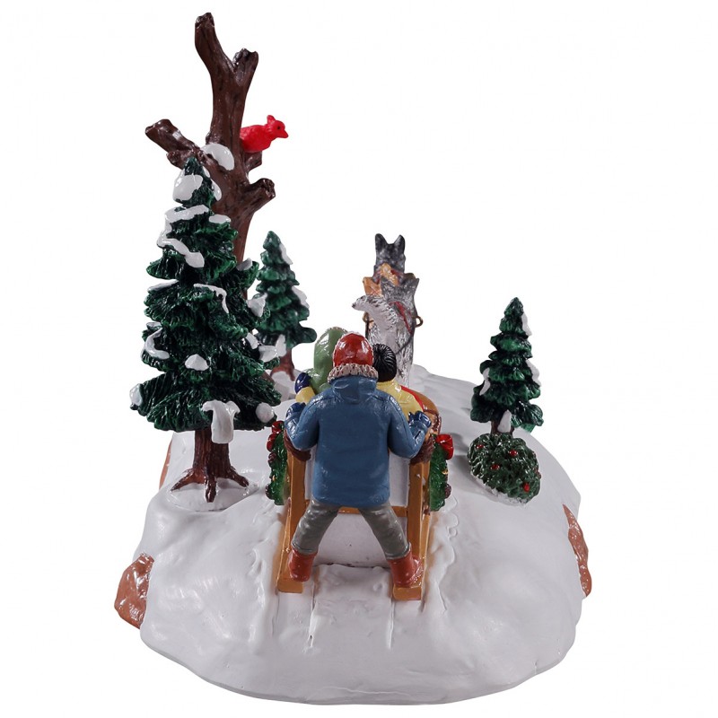 Dog Sledding Afternoon Cod. 13557 Dog Sledding Afternoon Cod. 13557