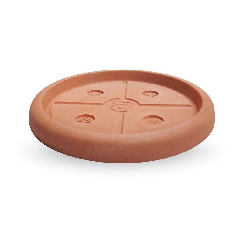 Platillo redondo Platillo redondo