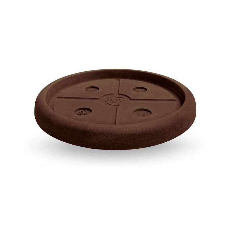 Platillo redondo Platillo redondo