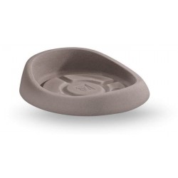 Platillo Redondo Génesis