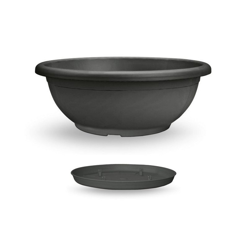 Cuenco Naxos con platillo entrelazado Cuenco Naxos con platillo entrelazado