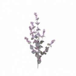 Rama congelada 75 cm