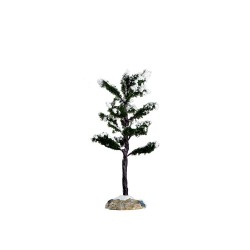 Conifer Tree, Small Cod. 64091