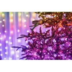 Twinkly STRINGS Luci di Natale Smart 600 Led RGBW II Generazione Cavo Nero