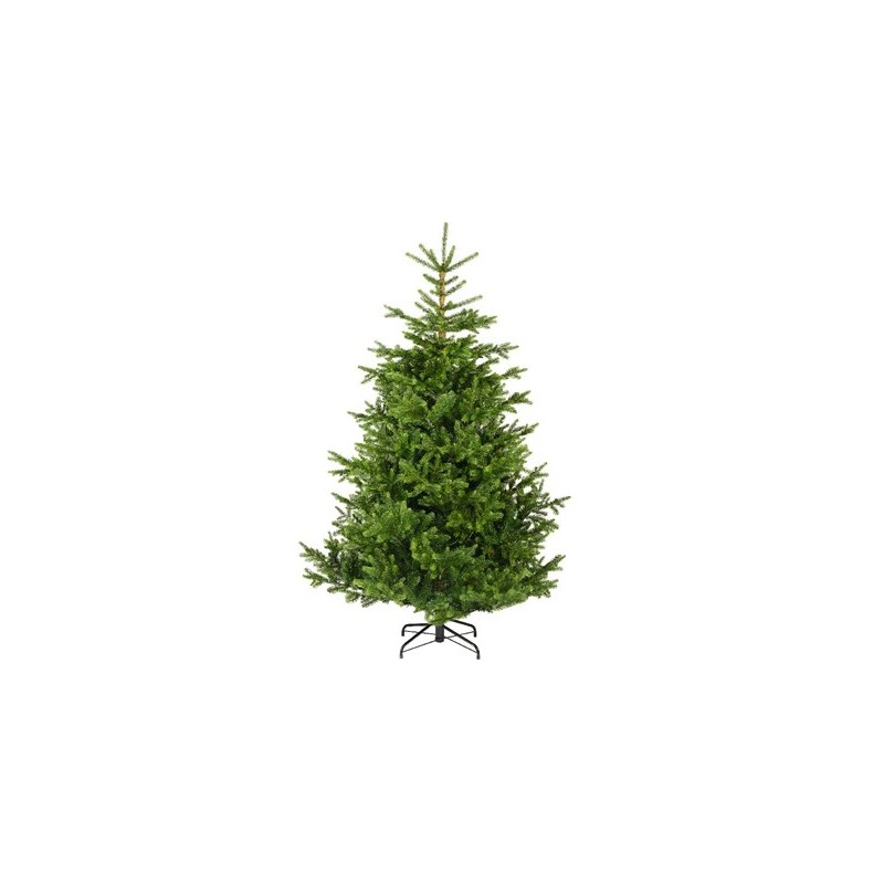 Árbol de Navidad Nordmann 180cm