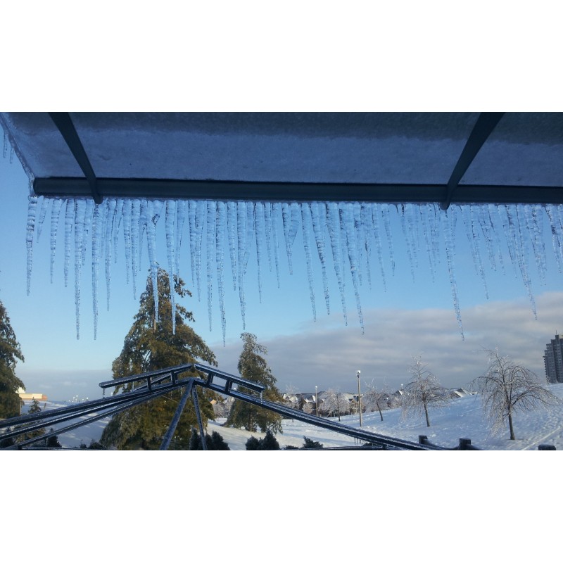 Canopia Refugio Exterior Aquila 205X91 cm Transparente