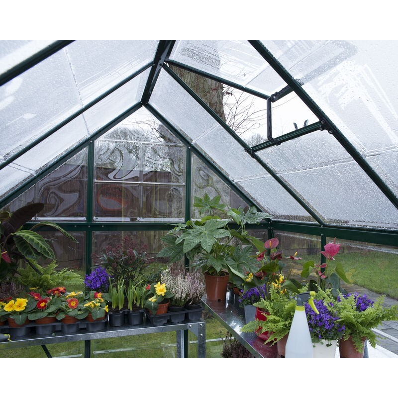 Canopia Invernadero de Jardín Harmony Transparente de Policarbonato 306X185X208 cm Verde