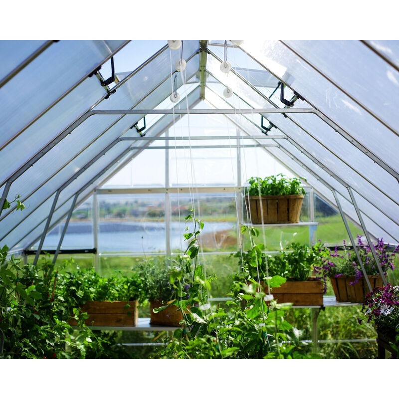 Canopia Balance Hybrid Garden Greenhouse in Polycarbonate 964X304X257 cm Silver