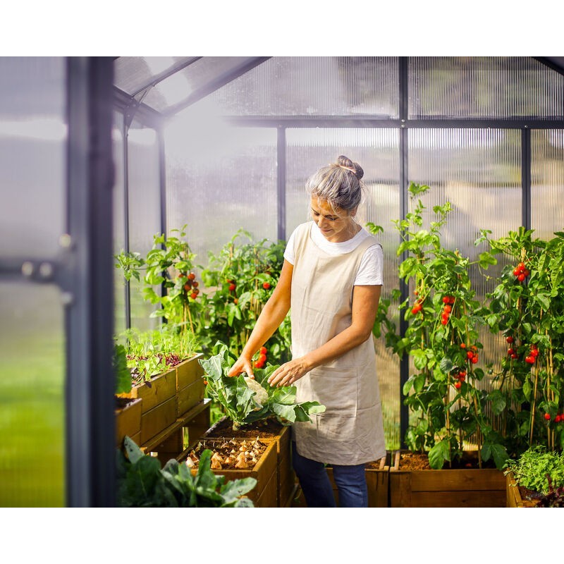 Canopia Invernadero de Jardín Glory en Policarbonato Premium 484X253X268 cm