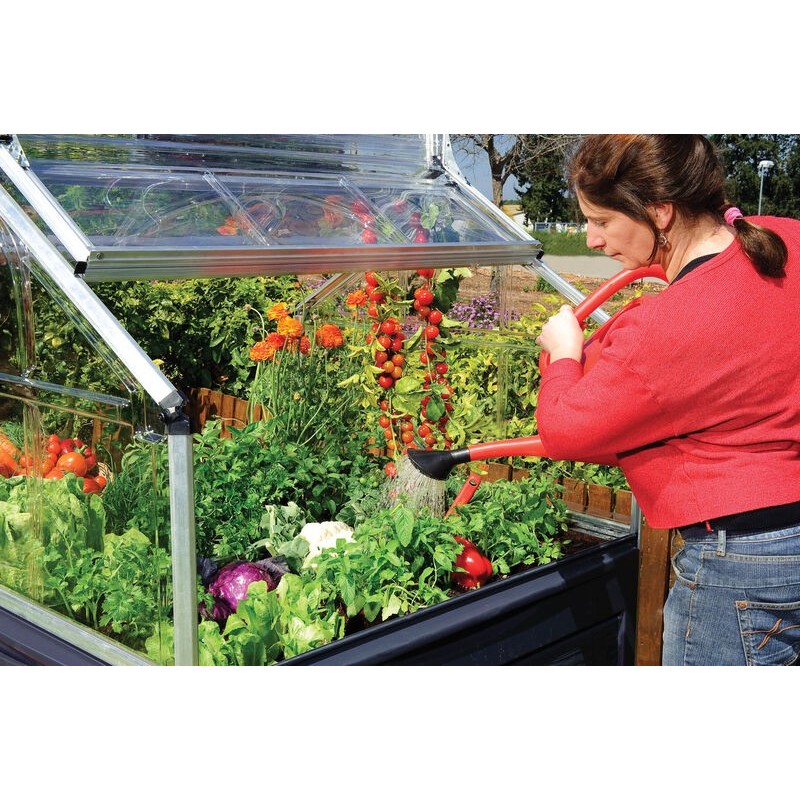 Canopia Plant-inn Mini Garden Greenhouse in Polycarbonate 118X118X148 cm