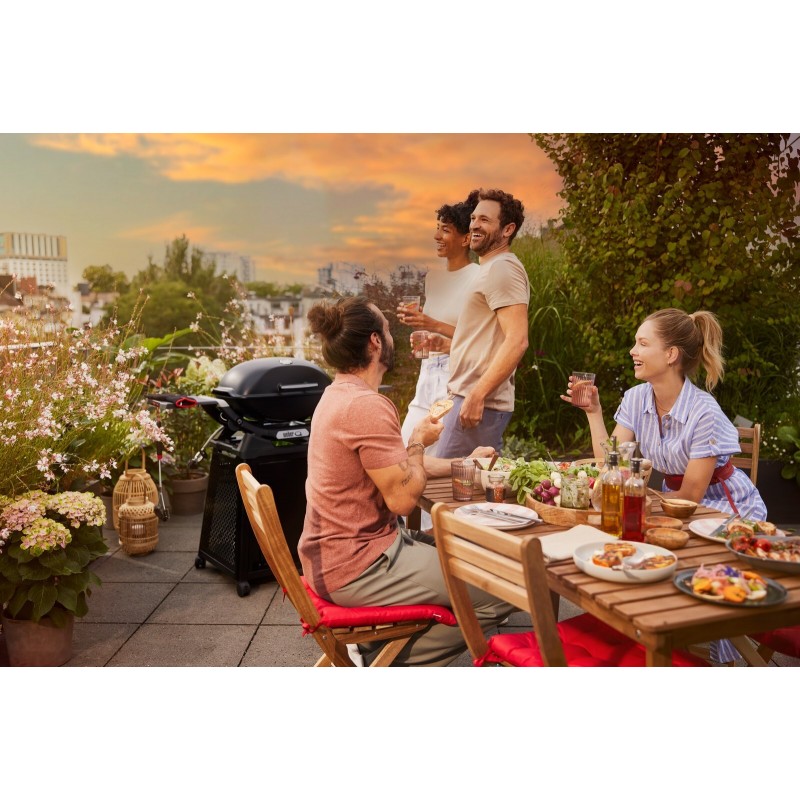 Weber Gas Barbecue Q 2800N+ With Premium Trolley Black Ref. 1501123 Weber Gas Barbecue Q 2800N+ With Premium Trolley Black Ref. 1501123