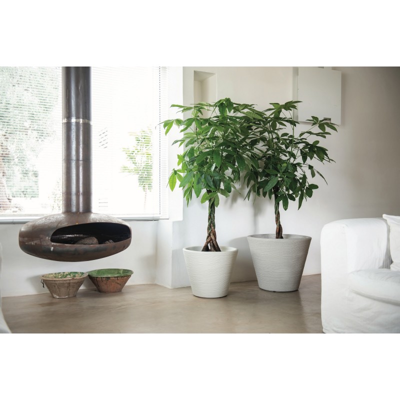 Maceta Campana Shabby